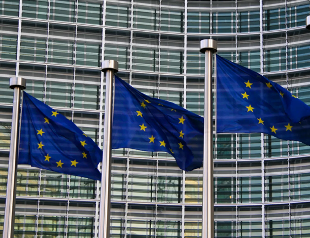 Embedding Project Management into EU Regulations