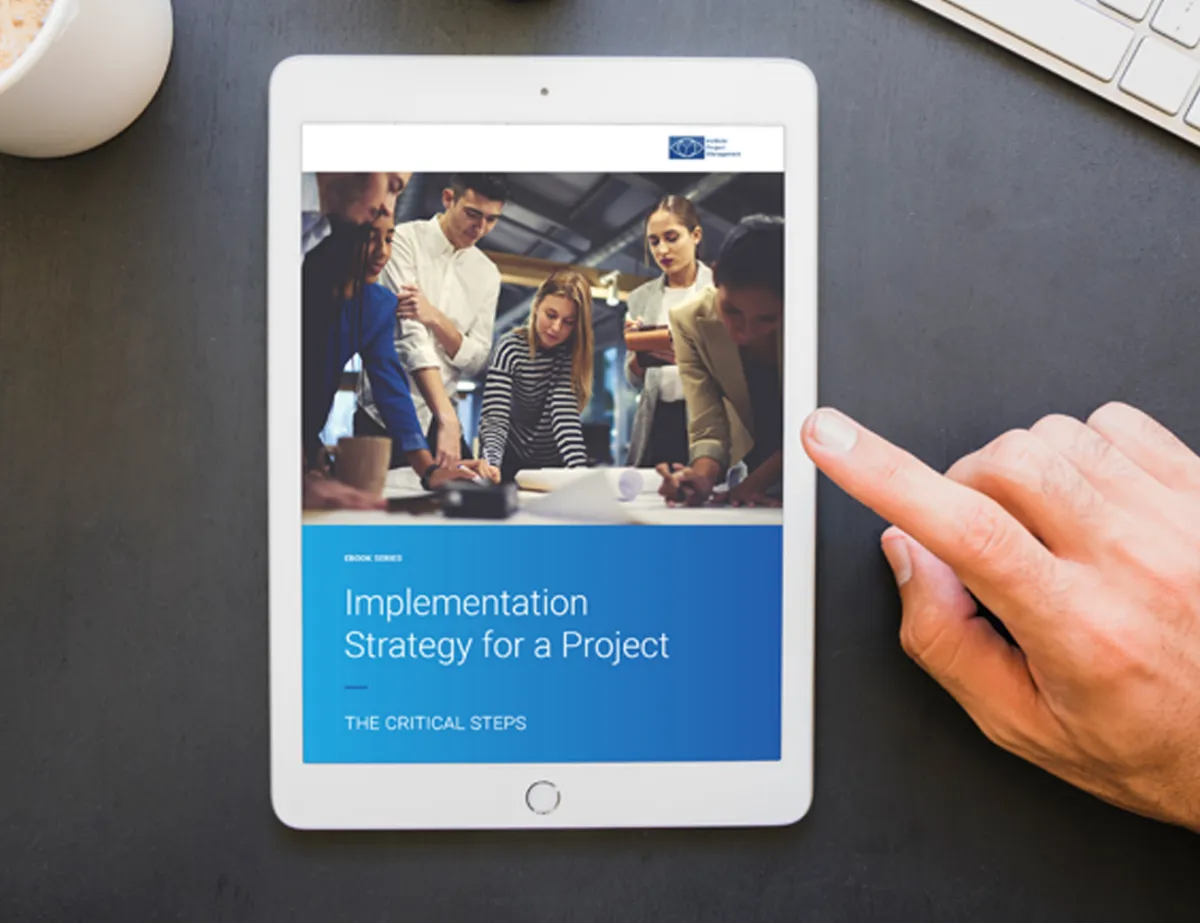 Ebook: Implementation Strategy for a Project