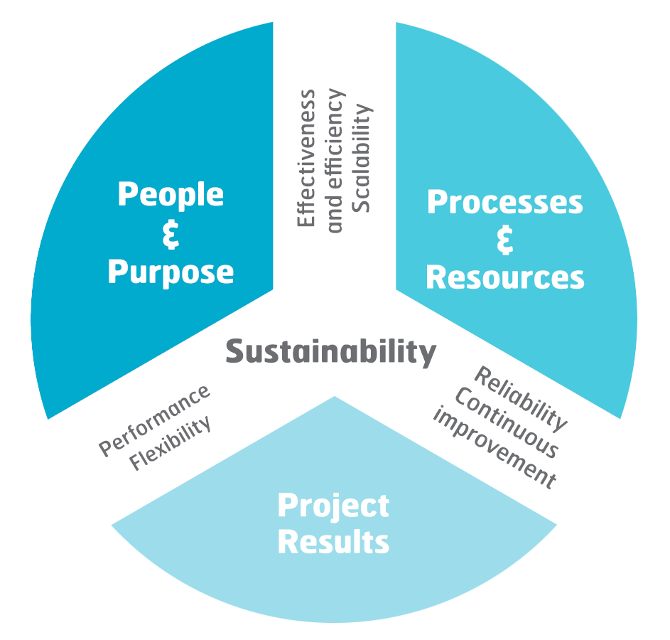 Project Excellence Model Illustration