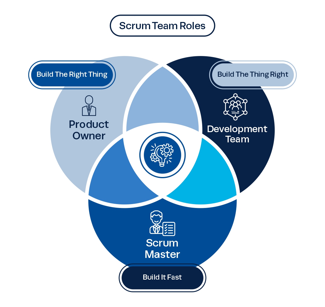 scrum team roles